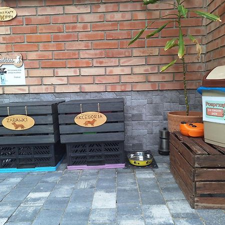 "Morskie Katy" - Kąty Rybackie Exterior foto